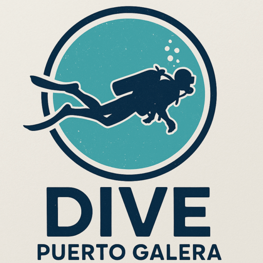 cropped-dive-puerto-galera-logo.png