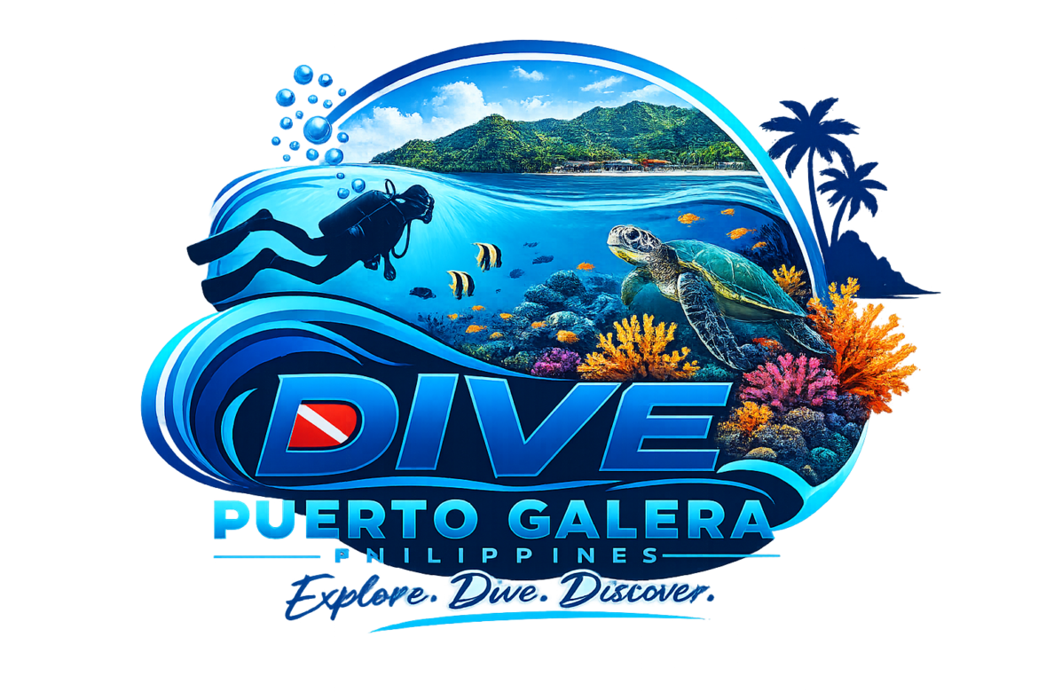 dive-puerto-galera-logo-2.1.png