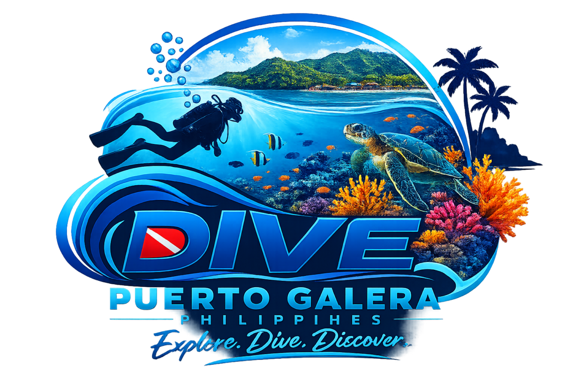 dive-puerto-galera-logo-2.3.png
