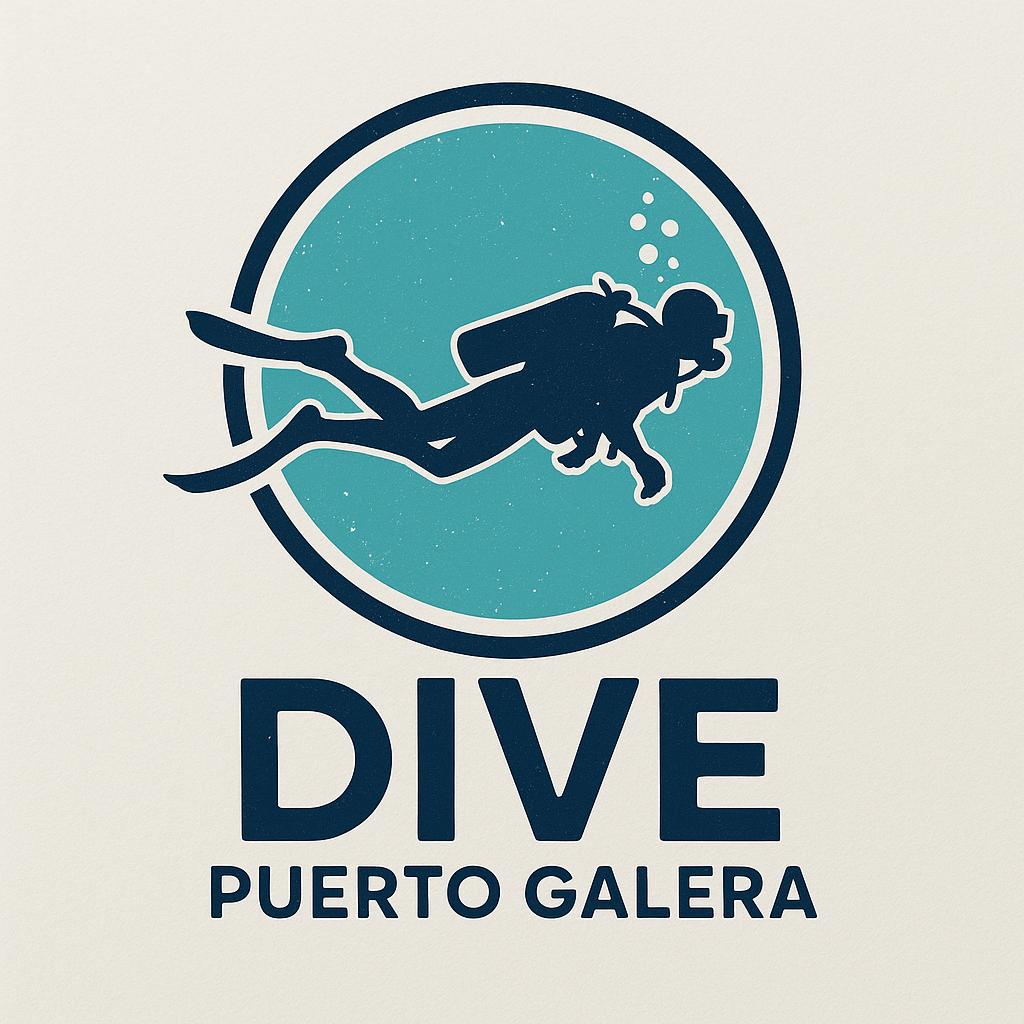 dive-puerto-galera-logo.png