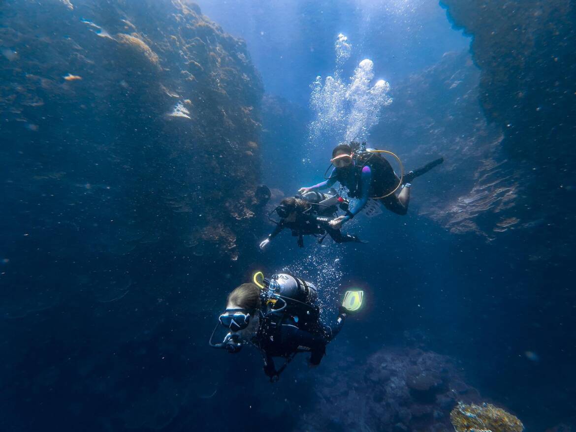 drift-diving-puerto-galera.jpeg