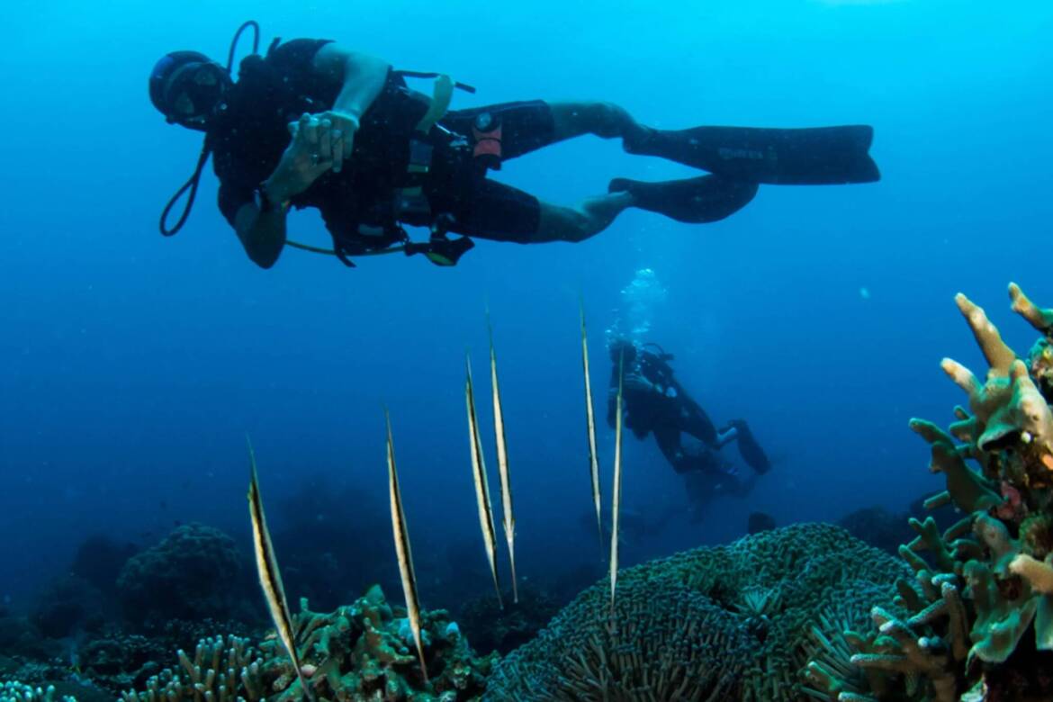 fun-diving-puerto-galera-scaled.jpeg