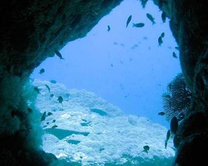 Hole in the Wall Puerto Galera dive site