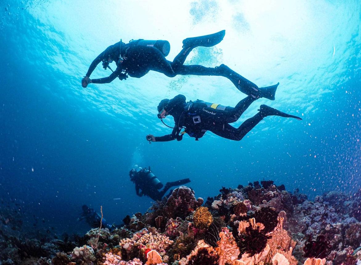 slider-3-dive-puerto-galera.jpeg