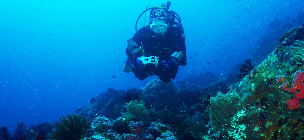 specialty-diving-puerto-galera.jpeg